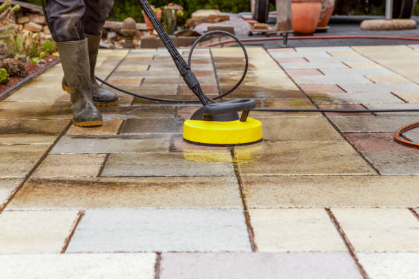 Best Driveway Pressure Washing  in Pistakee Highlands, IL